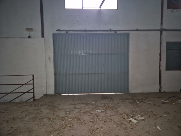 Industrial Unit In Elche, Spain (1.350 M²)