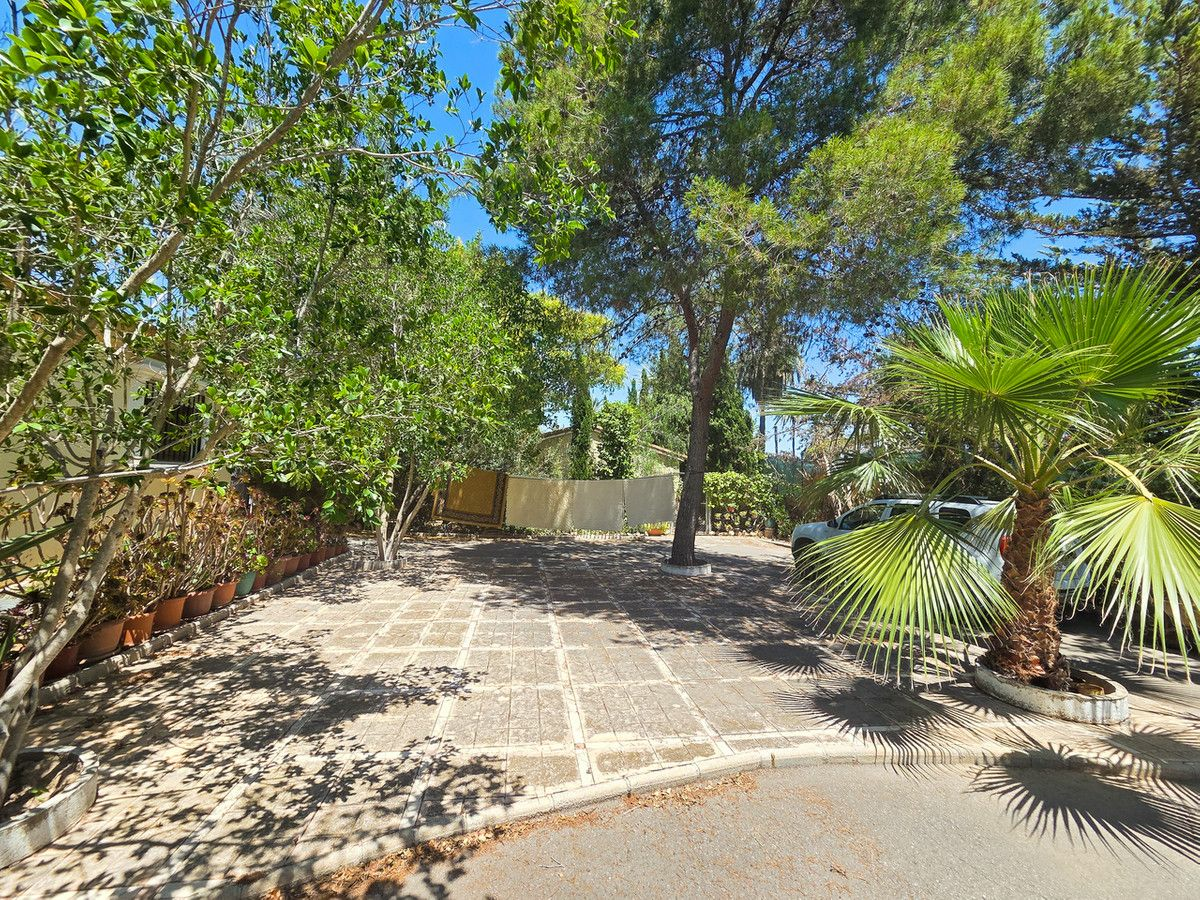 9-bedroom Villa In Elche, Spain (285 M²)