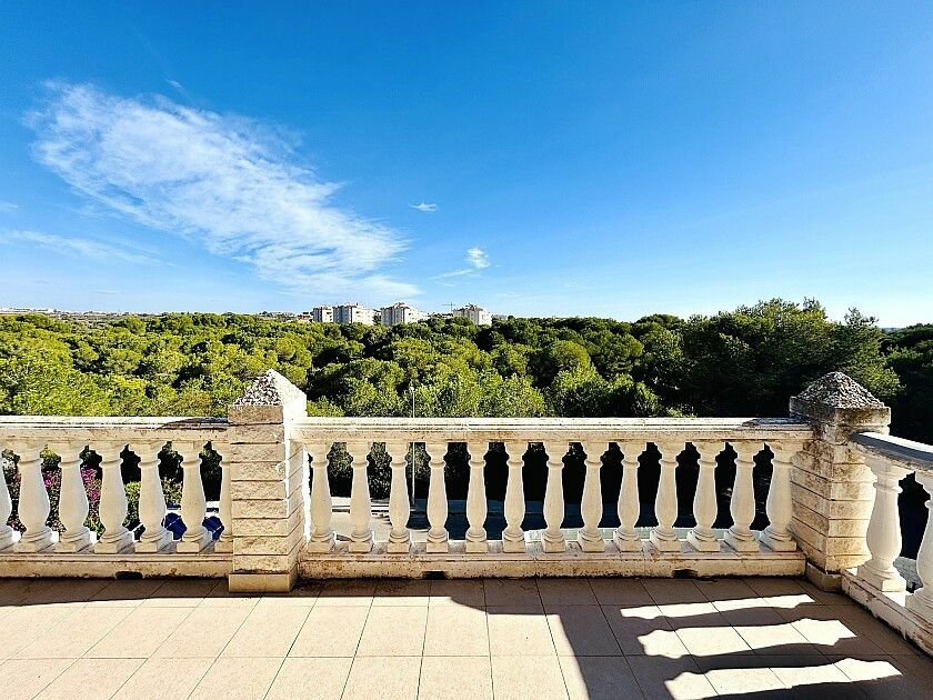 10-bedroom Villa In Orihuela Costa, Spain (800 M²)