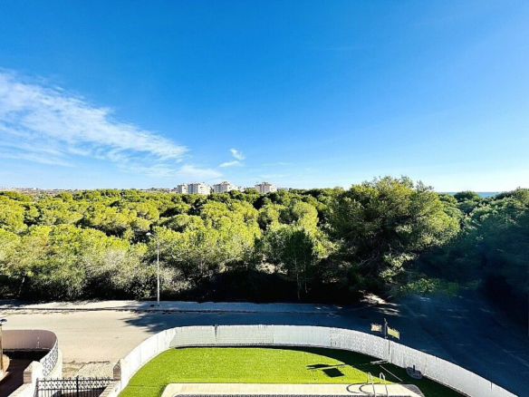 10-bedroom Villa In Orihuela Costa, Spain (800 M²)