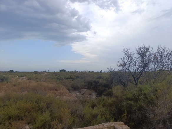 Land In Elche, Spain (10.500 M² Plot)