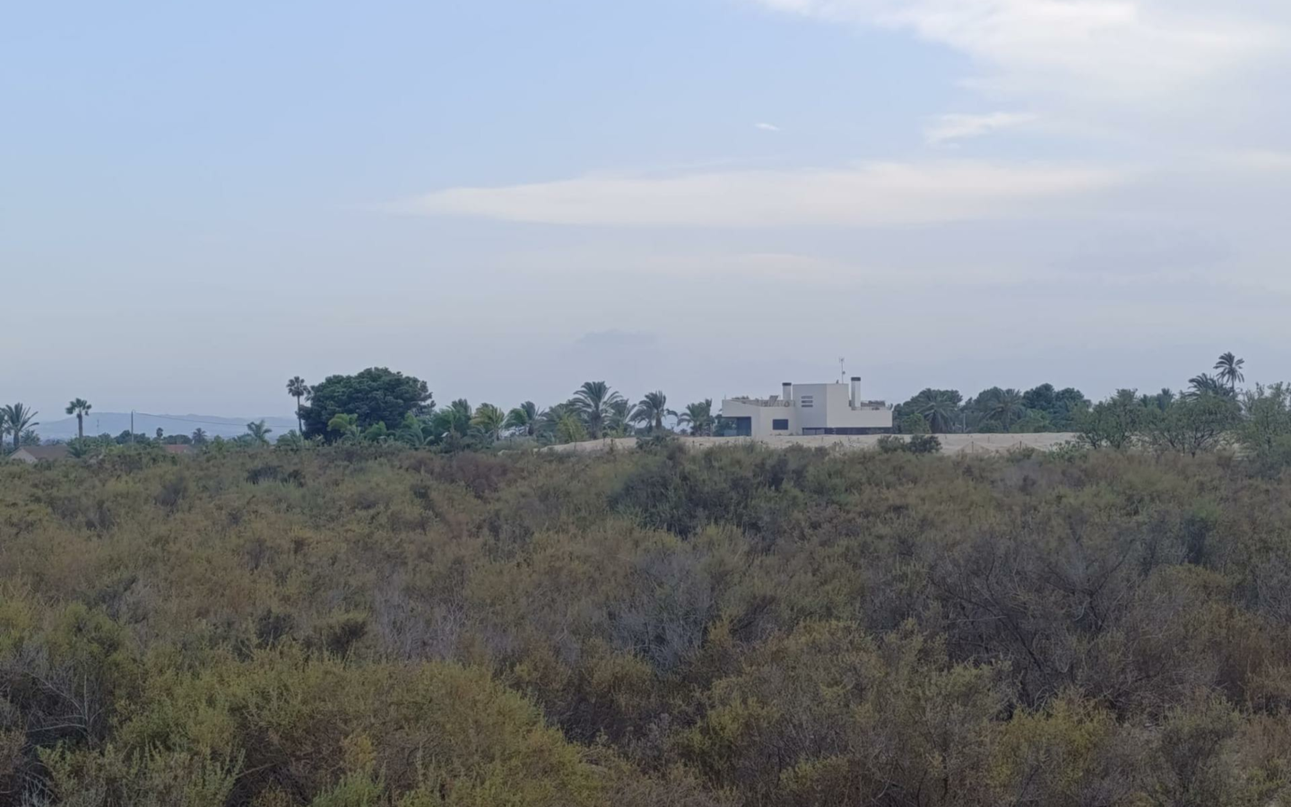 Land In Elche, Spain (10.500 M² Plot)