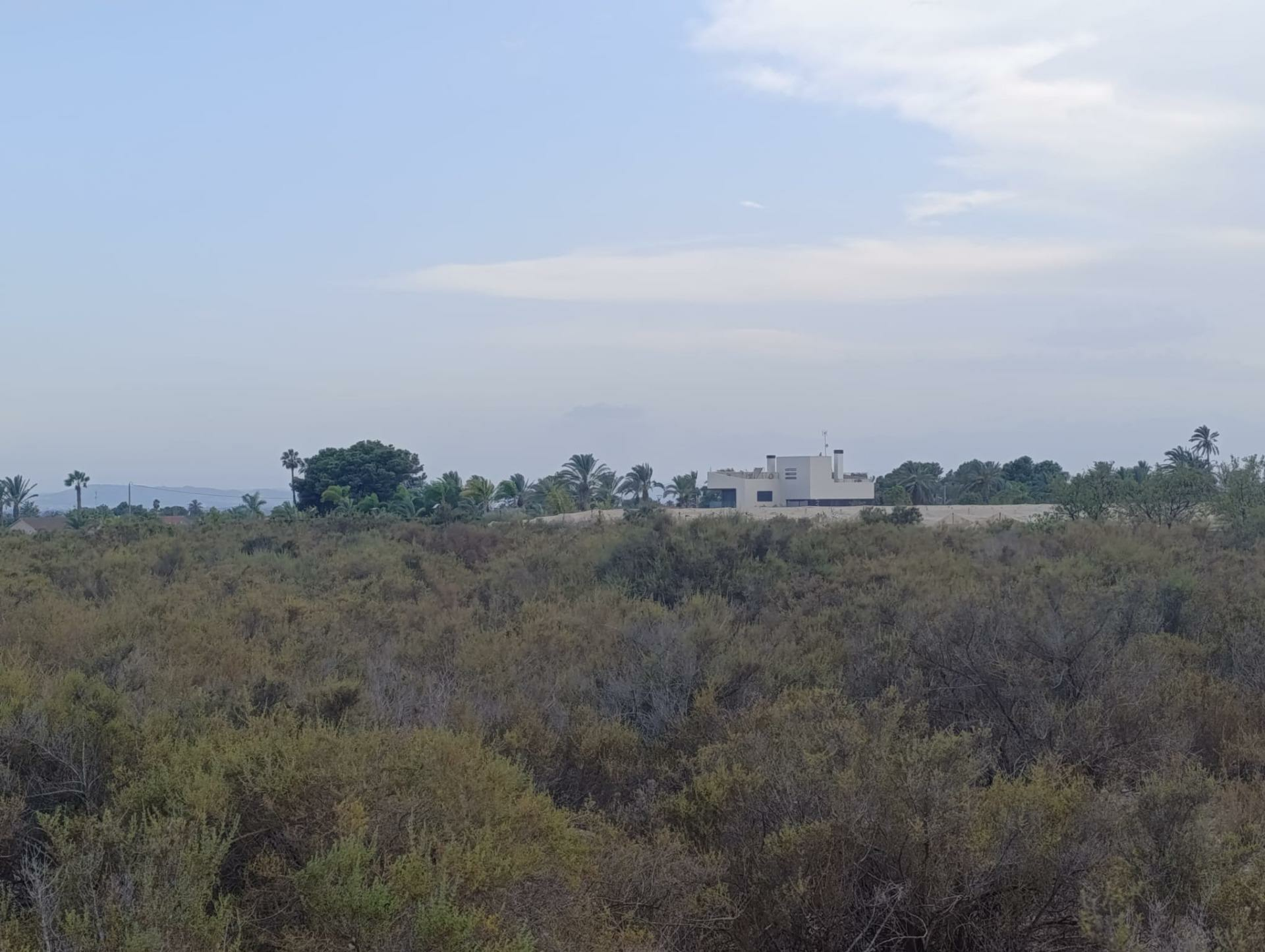 Land In Elche, Spain (10.500 M² Plot)