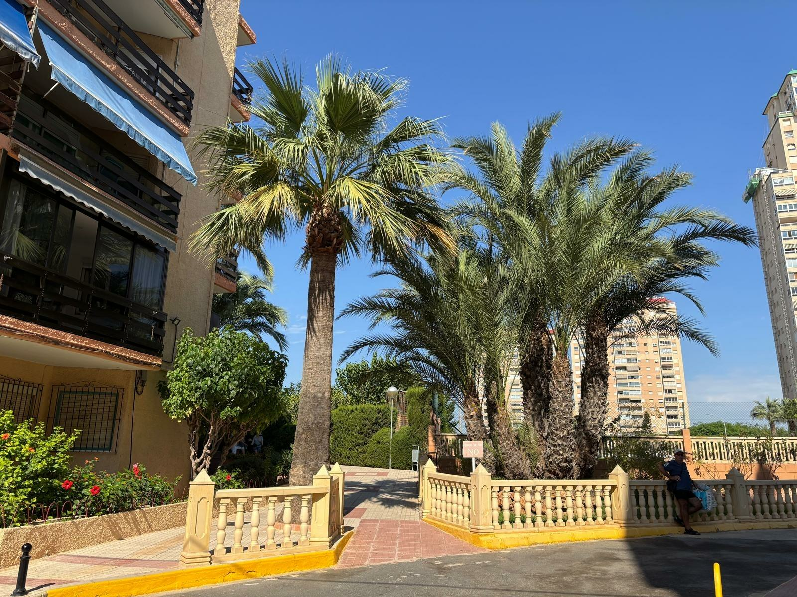 2-bedroom Ground Floor In El Campello, Spain (57 M²)