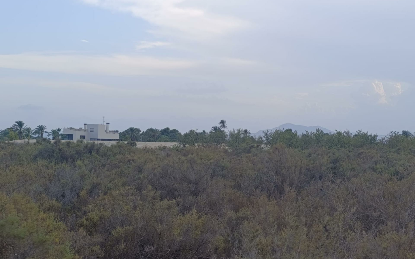 Land In Elche, Spain (10.500 M² Plot)
