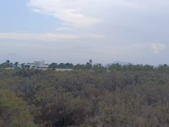 Land In Elche, Spain (10.500 M² Plot)