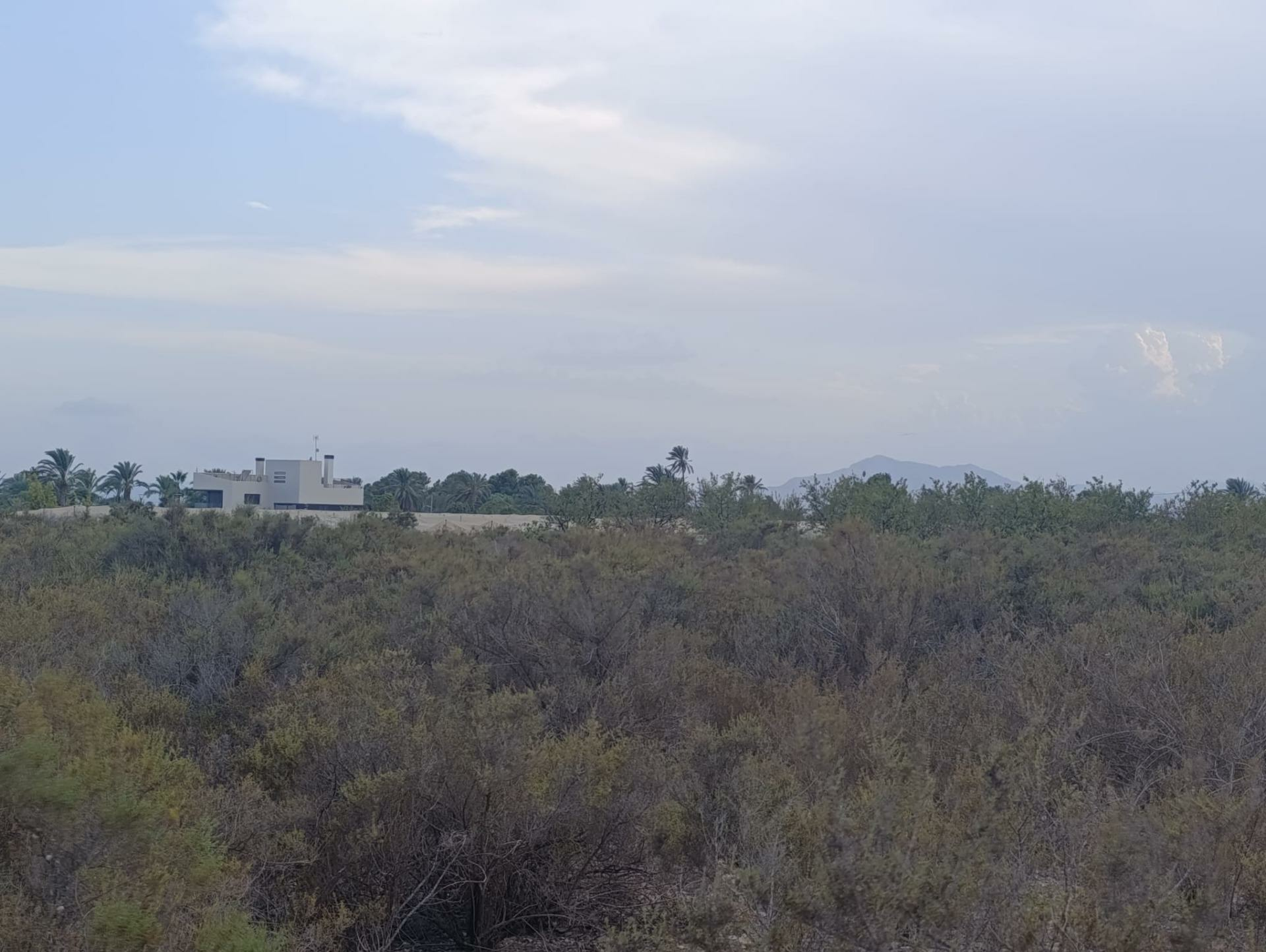 Land In Elche, Spain (10.500 M² Plot)