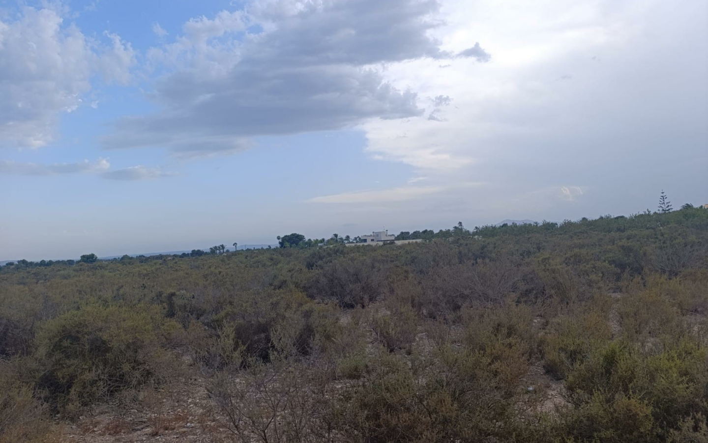 Land In Elche, Spain (10.500 M² Plot)