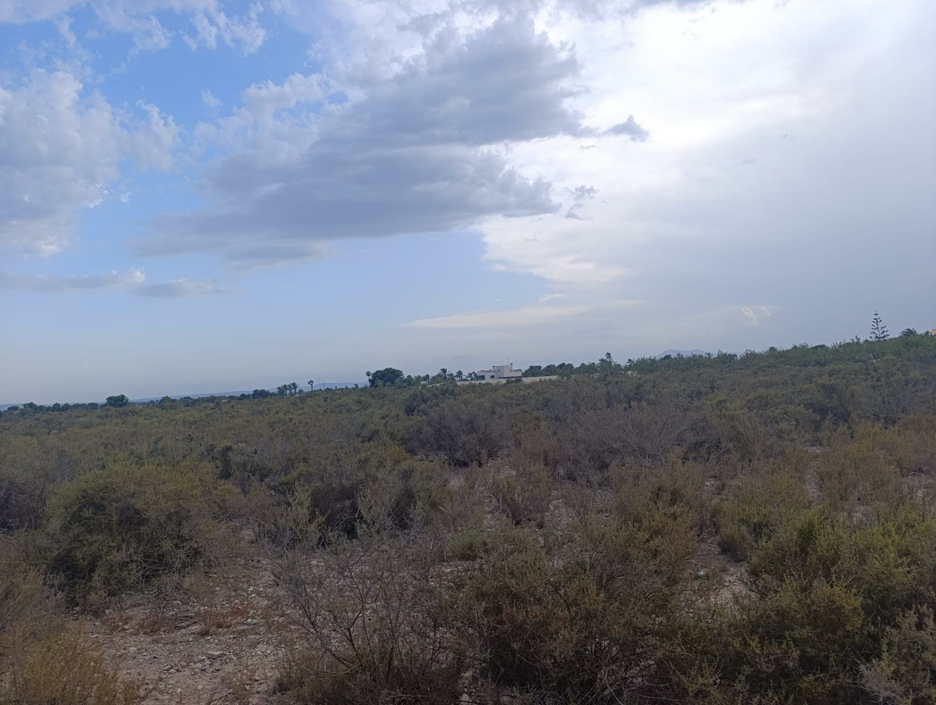 Land In Elche, Spain (10.500 M² Plot)