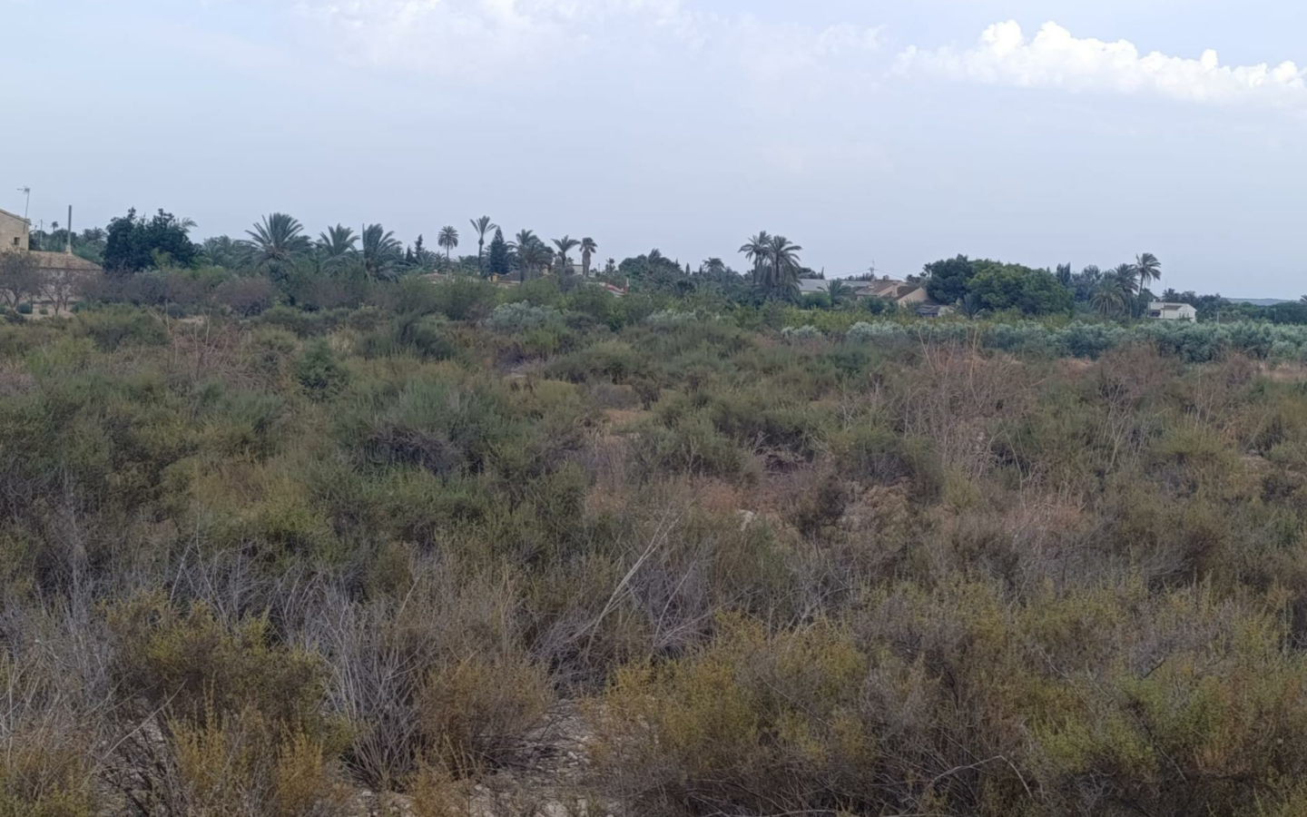Land In Elche, Spain (10.500 M² Plot)