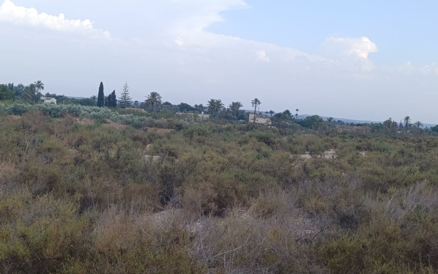 Land In Elche, Spain (10.500 M² Plot)