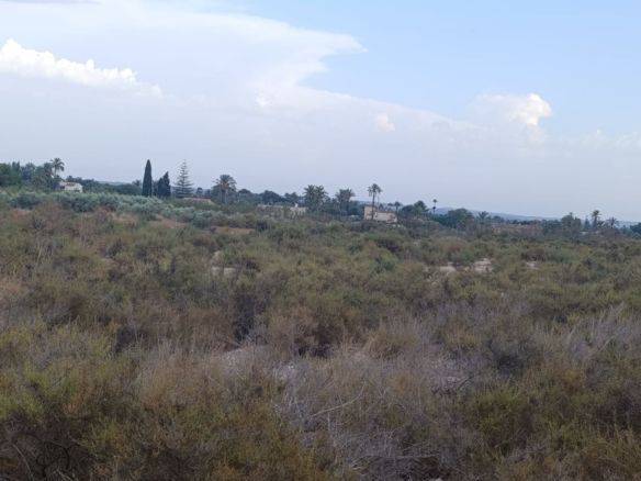 Land In Elche, Spain (10.500 M² Plot)