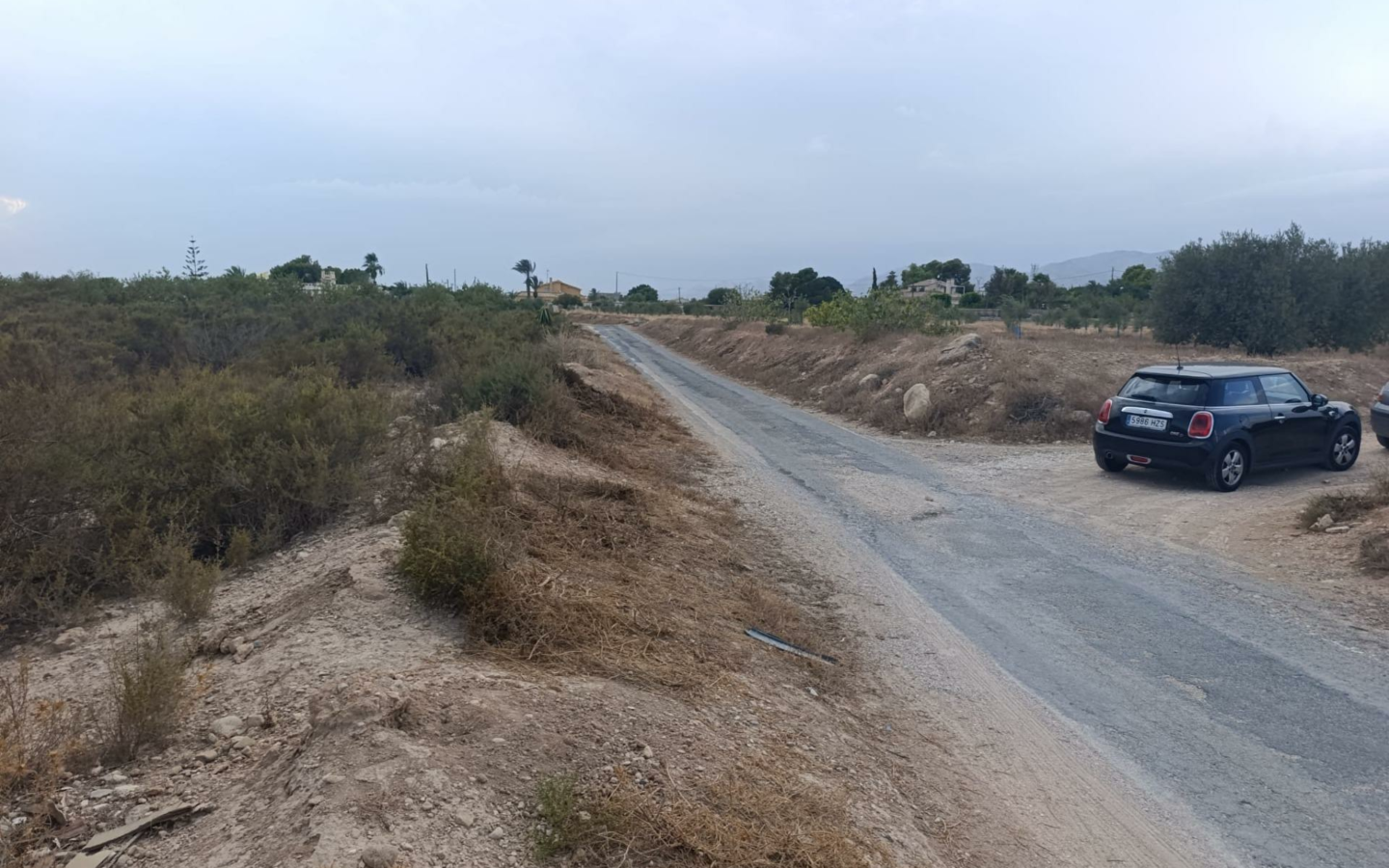 Land In Elche, Spain (10.500 M² Plot)