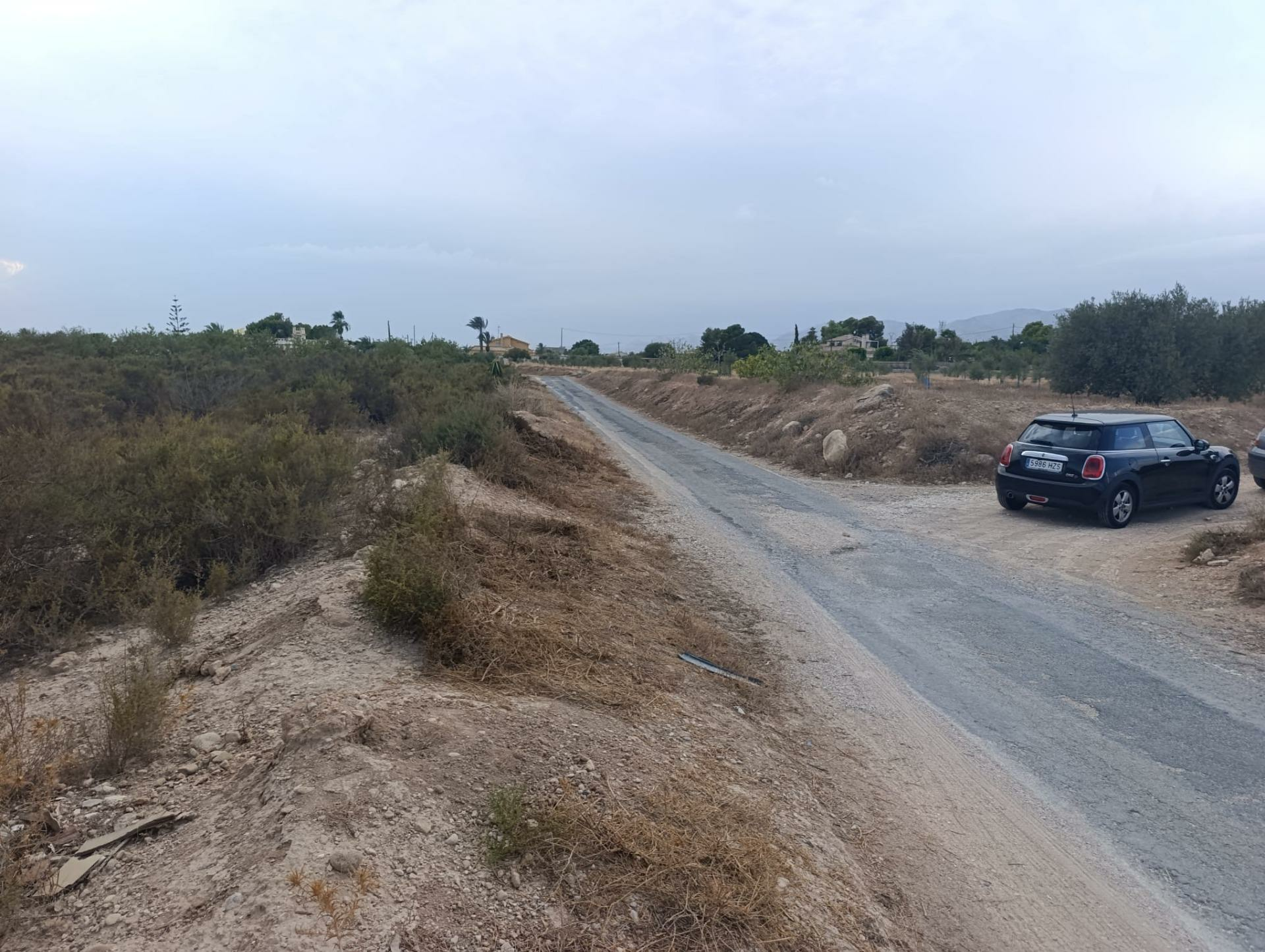 Land In Elche, Spain (10.500 M² Plot)