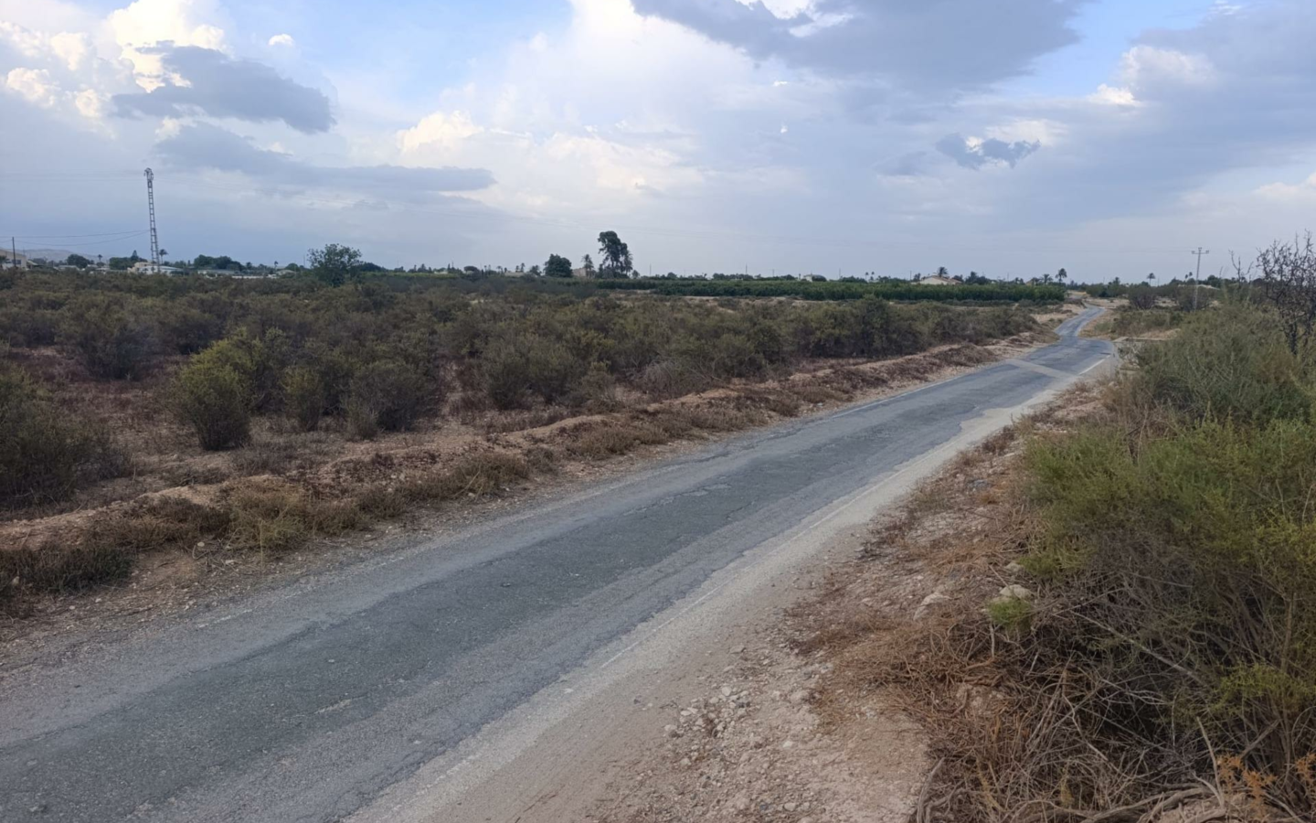Land In Elche, Spain (10.500 M² Plot)