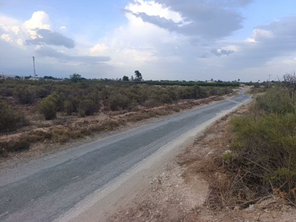 Land In Elche, Spain (10.500 M² Plot)