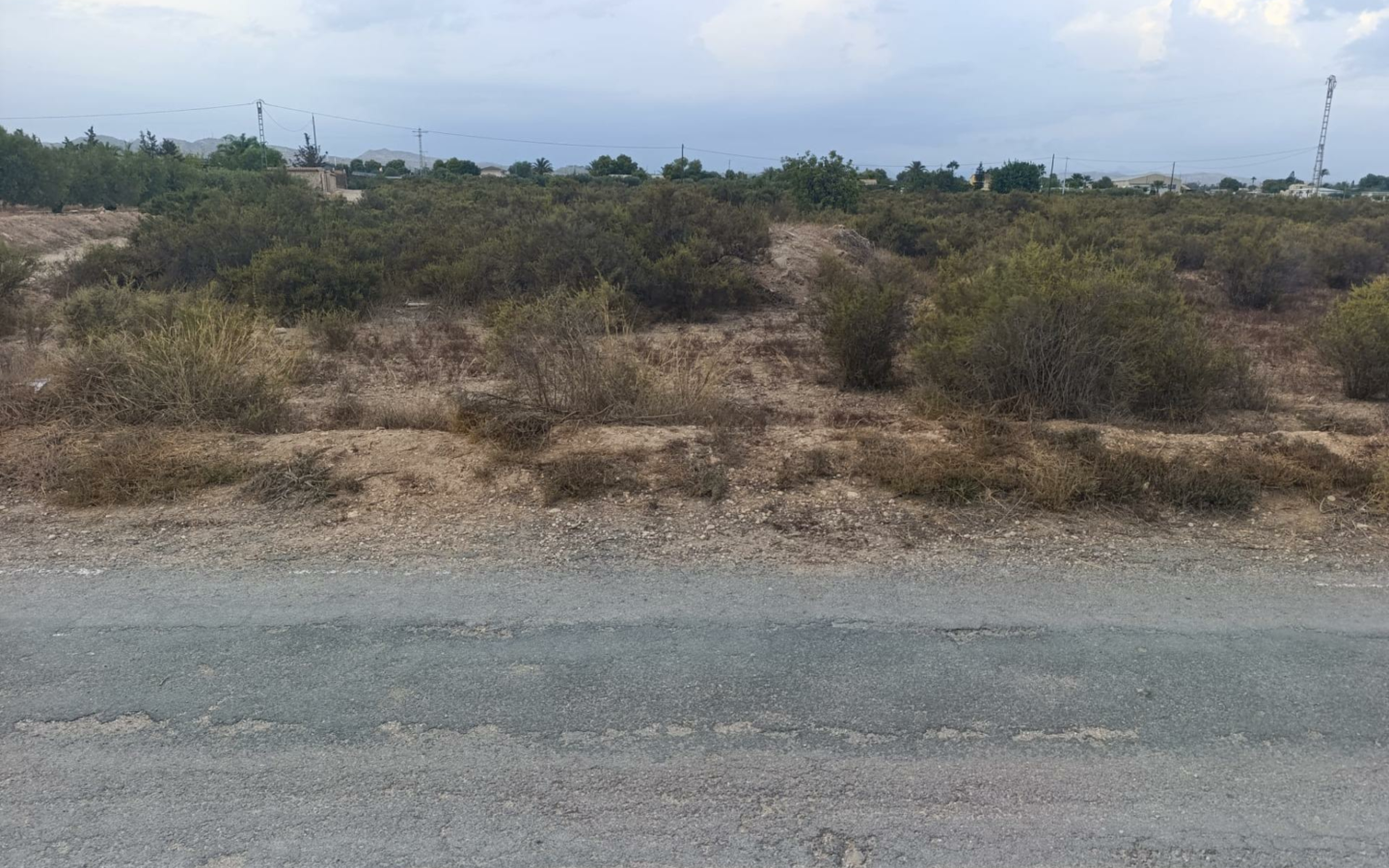 Land In Elche, Spain (10.500 M² Plot)