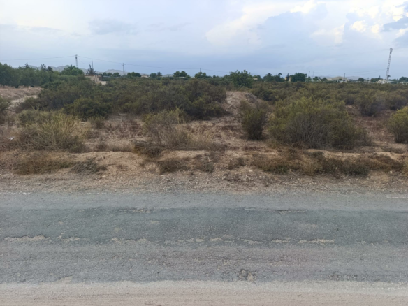 Land In Elche, Spain (10.500 M² Plot)