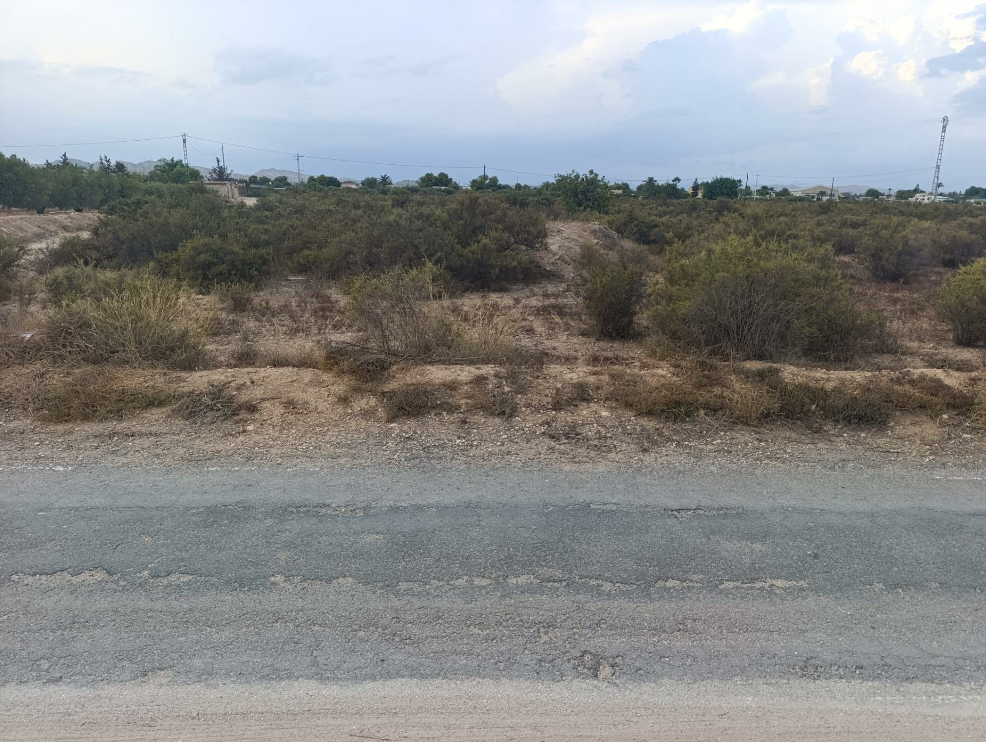 Land In Elche, Spain (10.500 M² Plot)