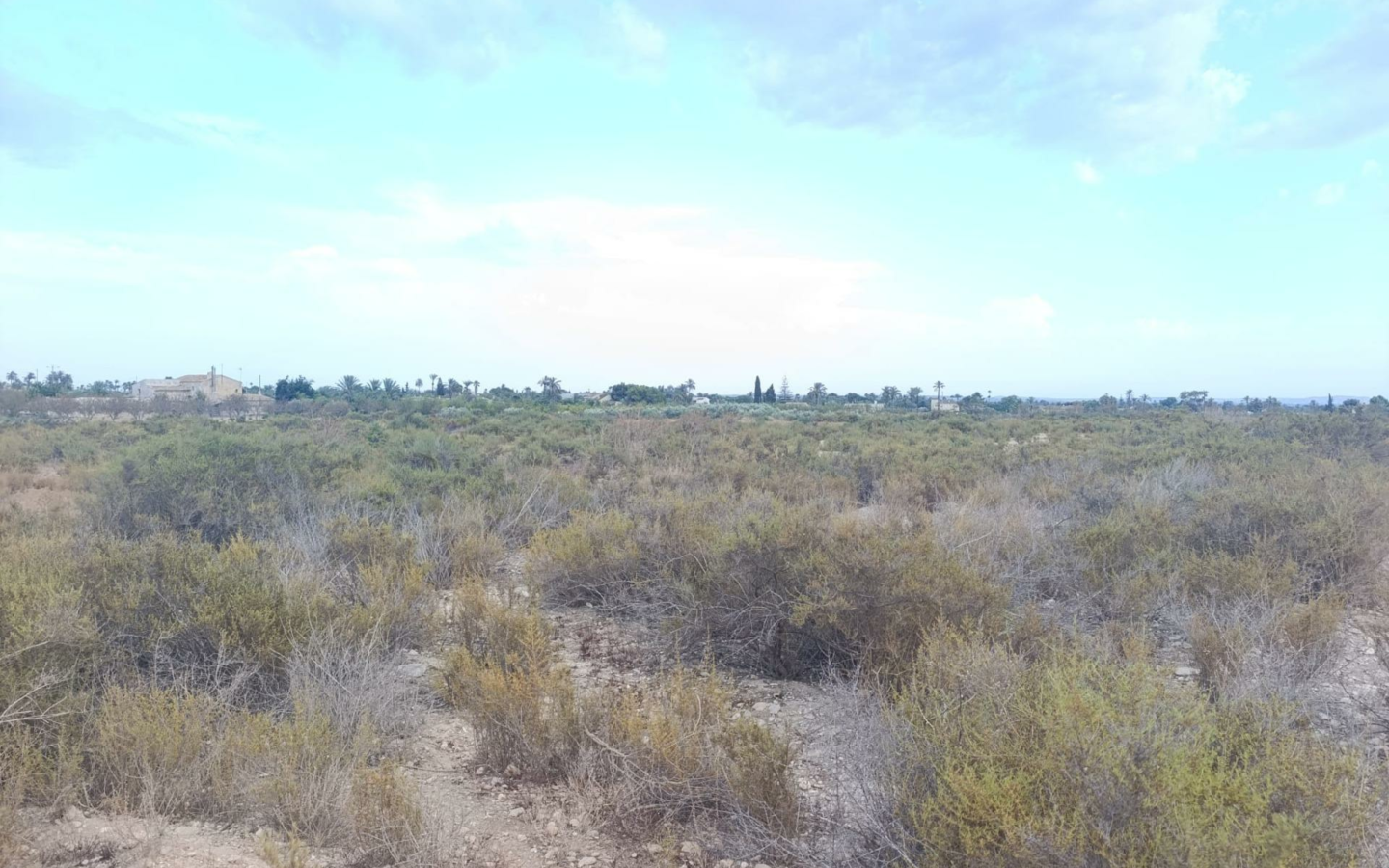 Land In Elche, Spain (10.500 M² Plot)