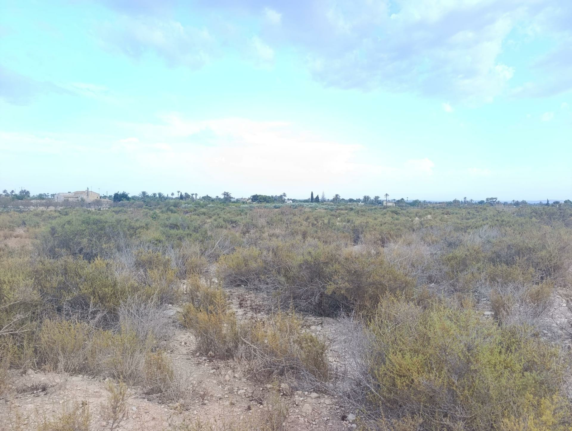 Land In Elche, Spain (10.500 M² Plot)