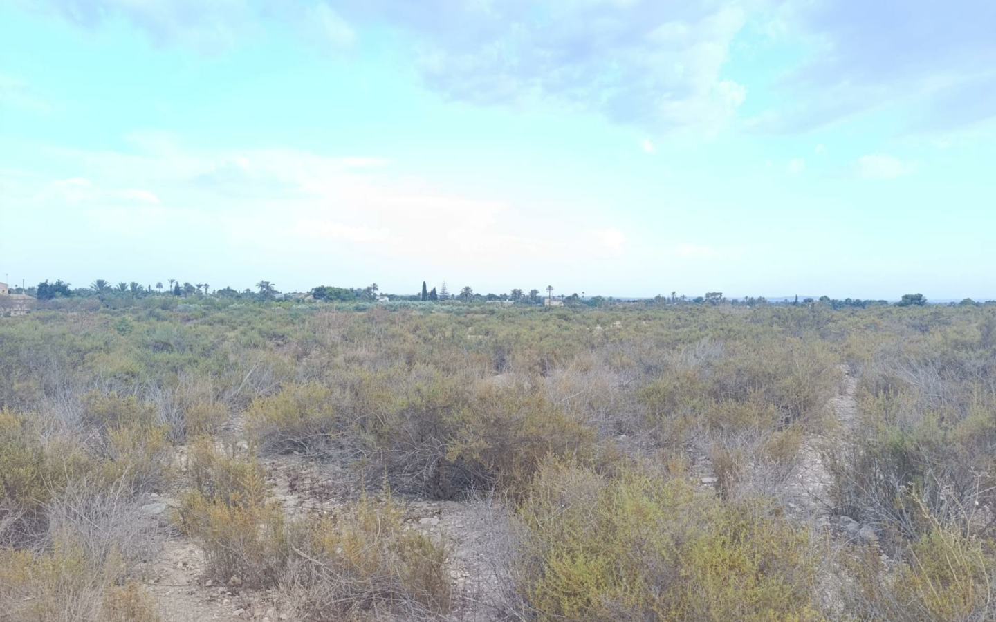 Land In Elche, Spain (10.500 M² Plot)