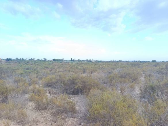 Land In Elche, Spain (10.500 M² Plot)