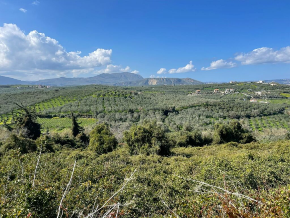 Land In Vamos, Greece