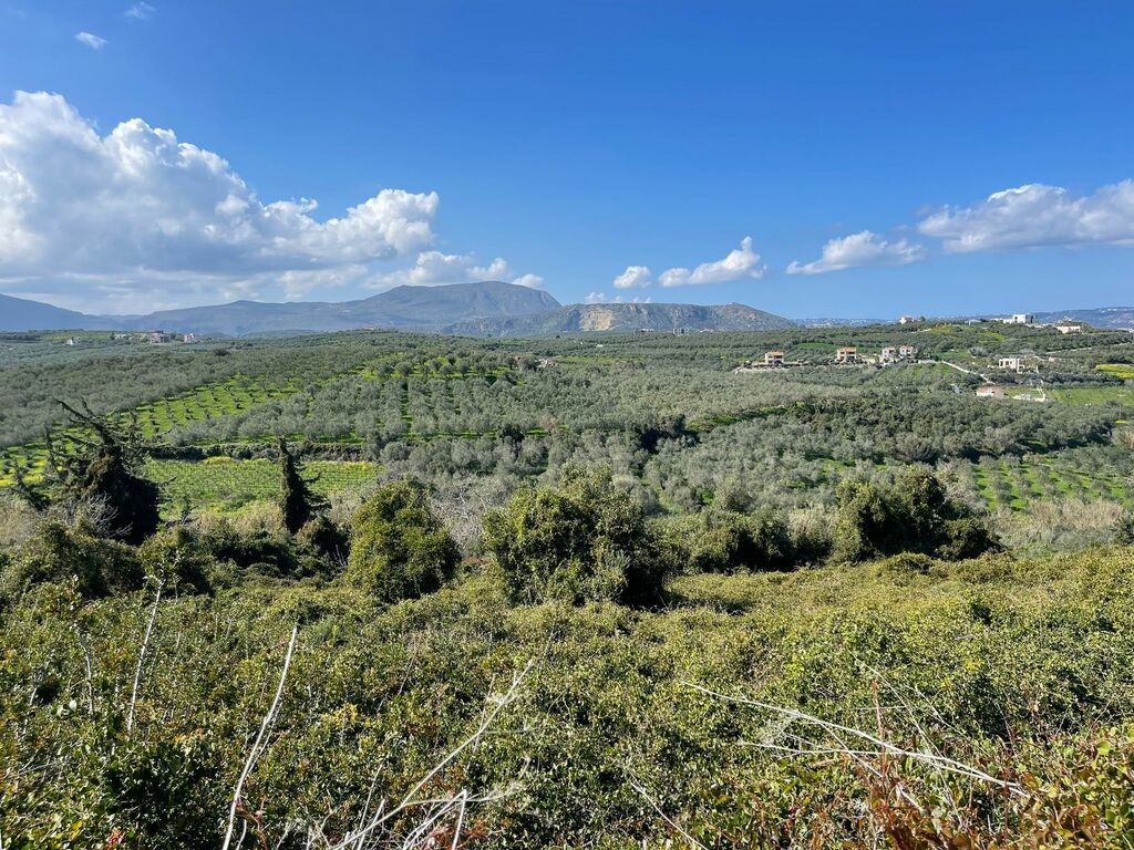 Land In Vamos, Greece