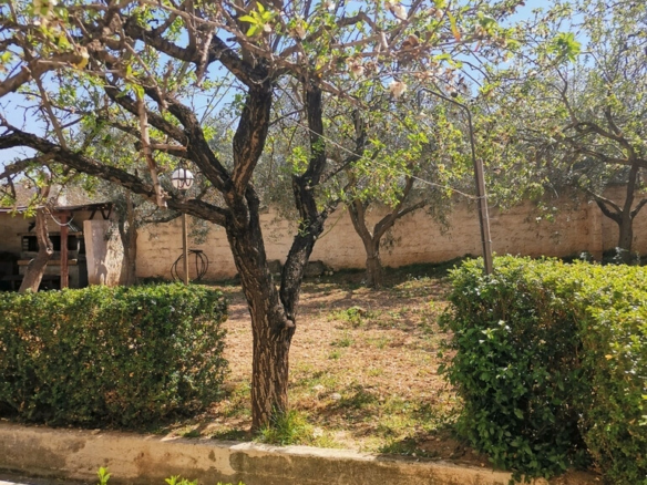 Detached House In Saronida, Greece (520 M²)