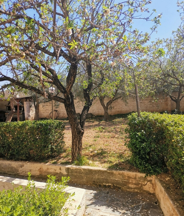Detached House In Saronida, Greece (520 M²)