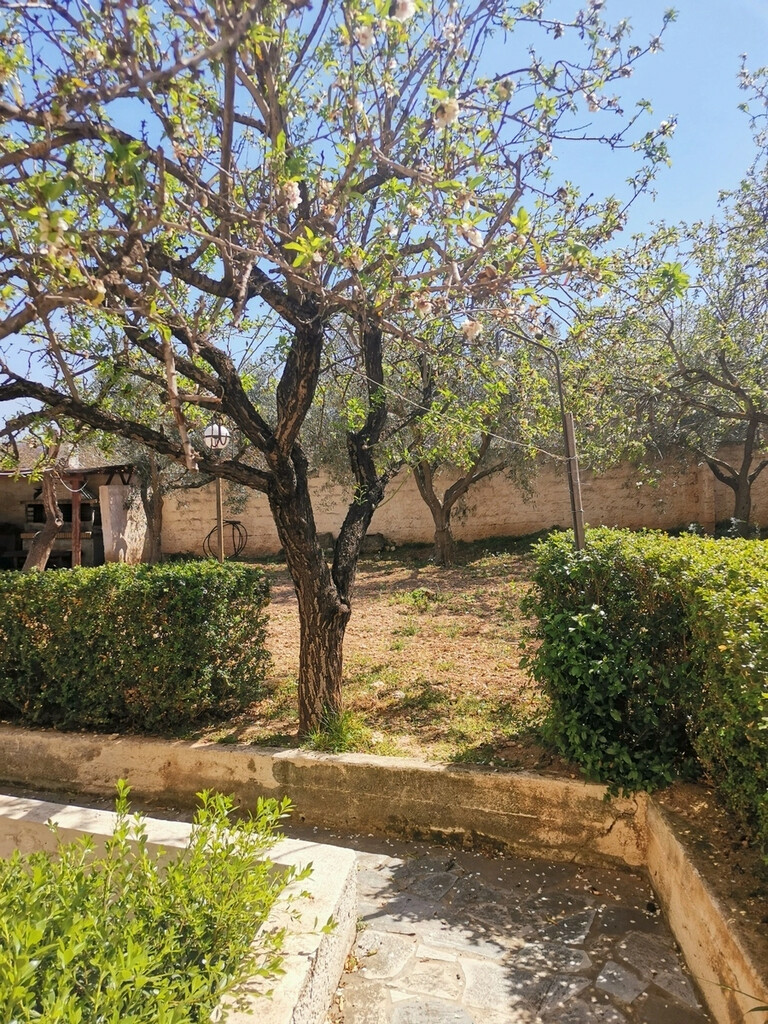 56683_1ln2abi3dbd-772d17 Detached House In Saronida, Greece (520 M²)