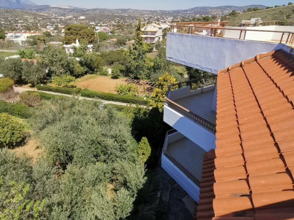 Detached House In Saronida, Greece (520 M²)