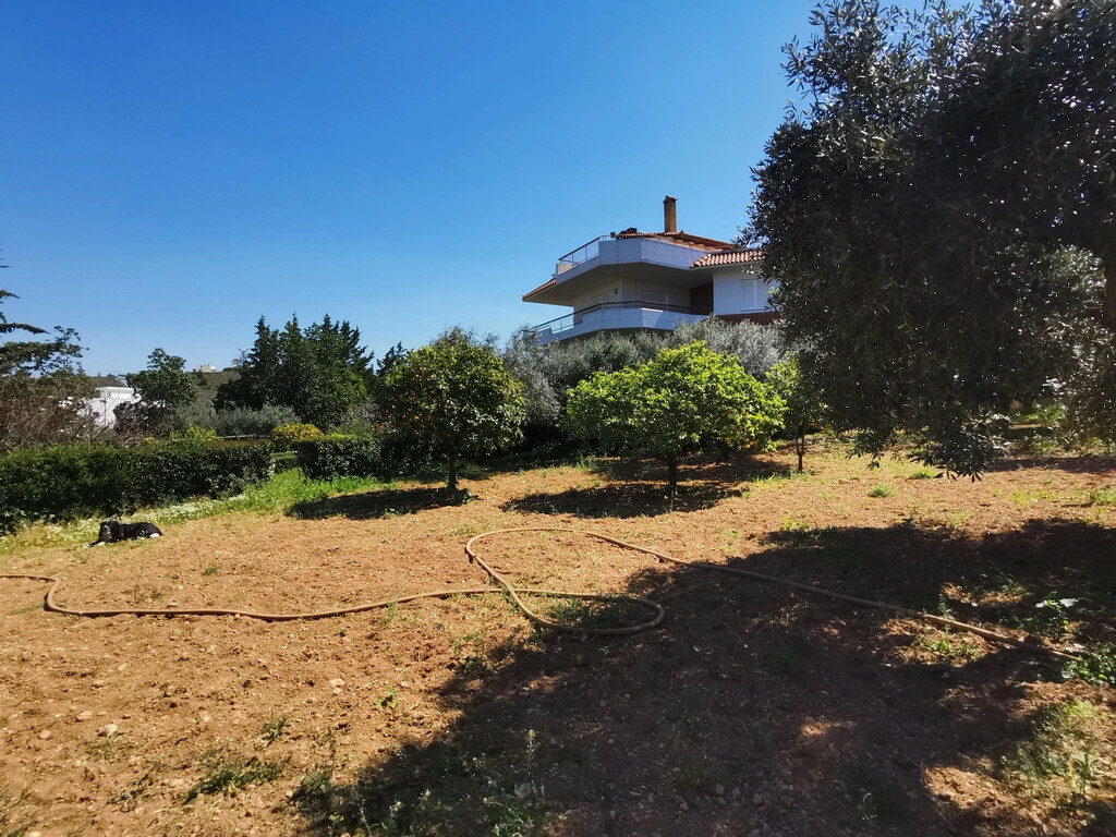 Detached House In Saronida, Greece (520 M²)