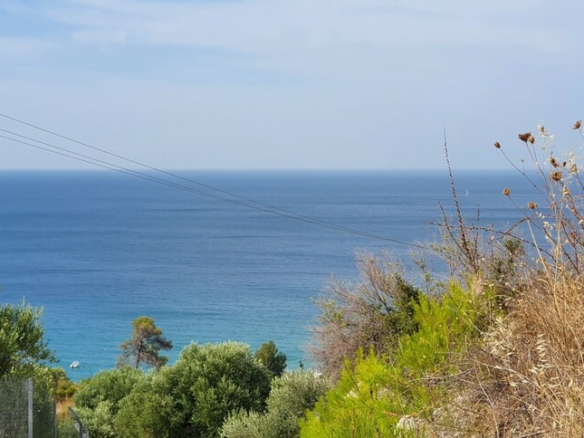 Land In Kassandra, Greece