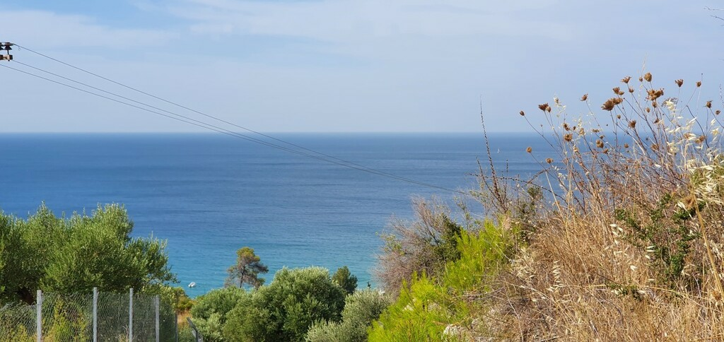 Land In Kassandra, Greece