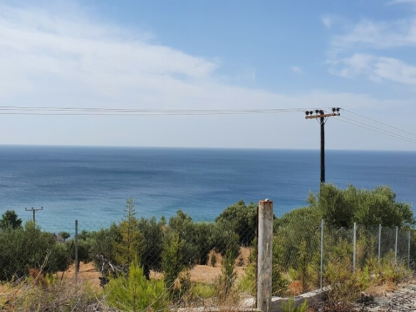 Land In Kassandra, Greece