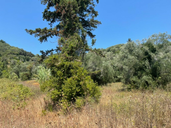 Land In Corfu, Greece