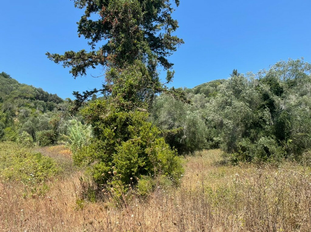 Land In Corfu, Greece