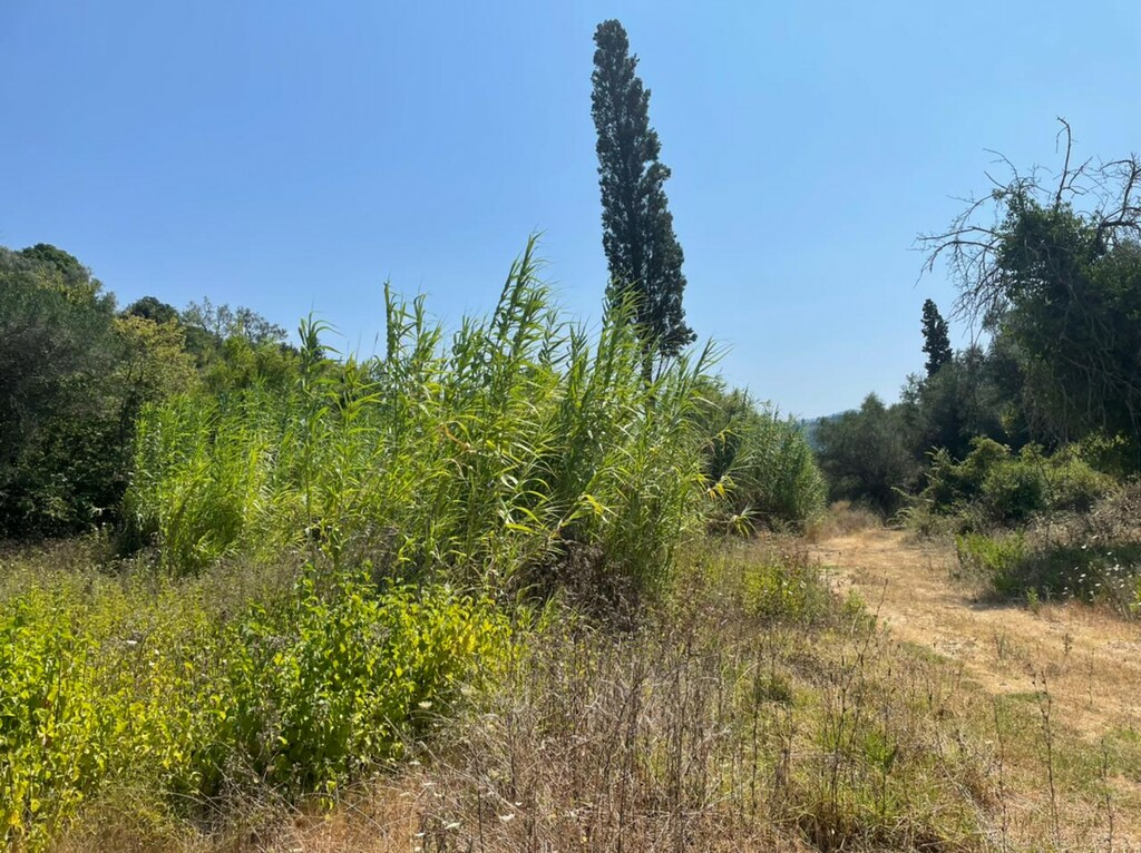 Land In Corfu, Greece