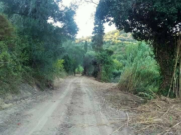 Land In Corfu, Greece