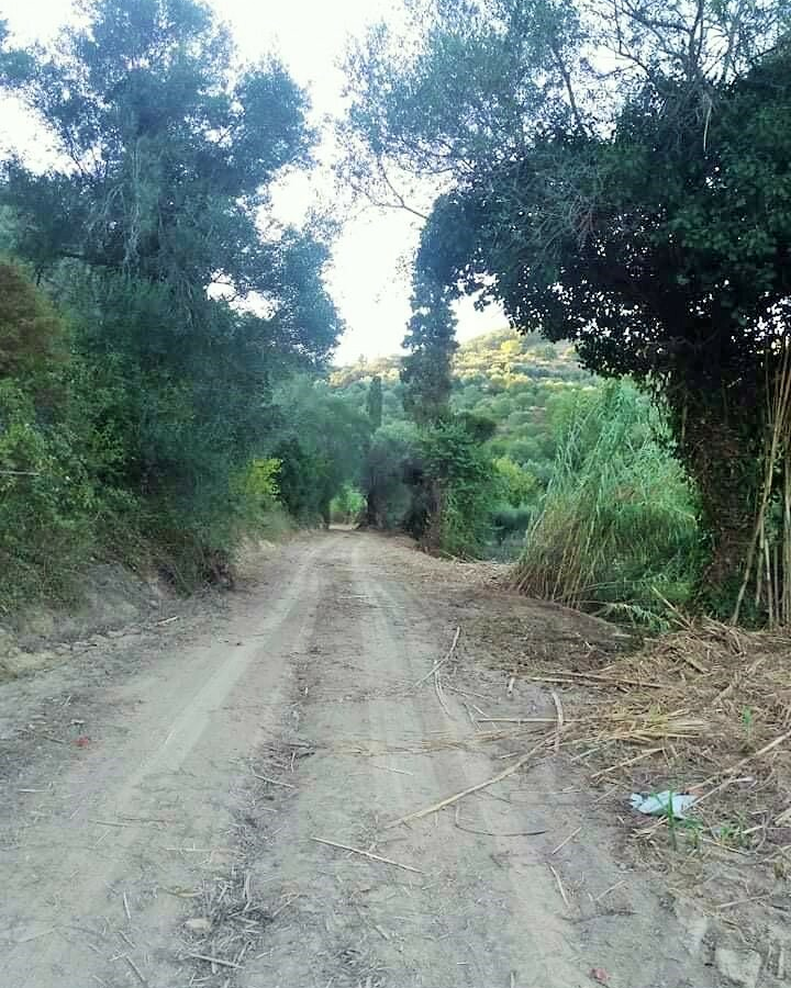 Land In Corfu, Greece