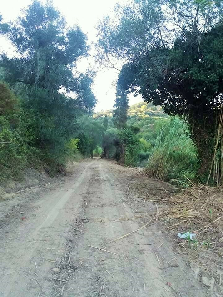 Land In Corfu, Greece