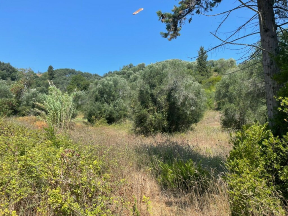 Land In Corfu, Greece