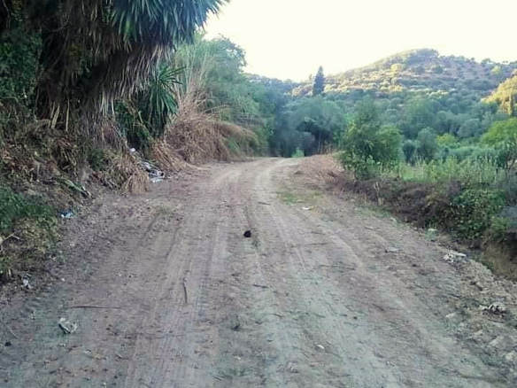 Land In Corfu, Greece
