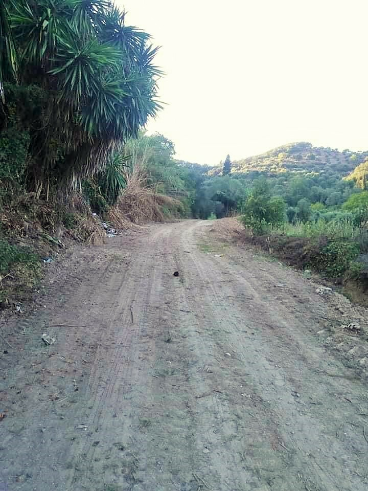 Land In Corfu, Greece