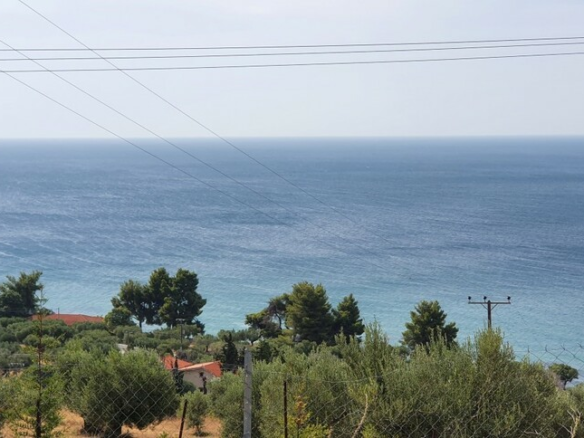 Land In Kassandra, Greece