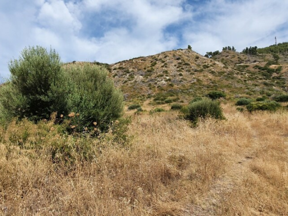 Land In Kassandra, Greece