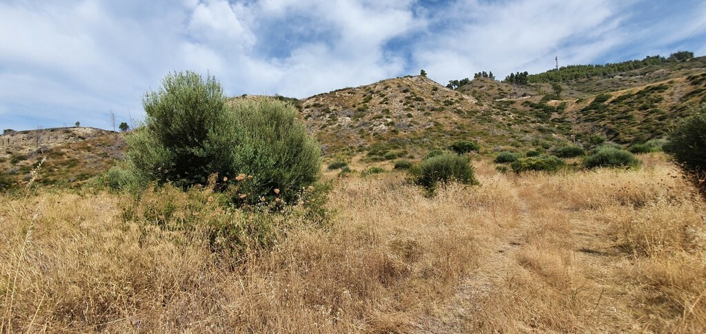 Land In Kassandra, Greece