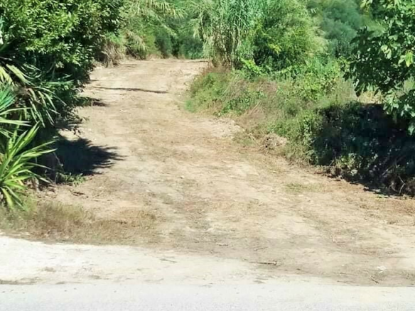 Land In Corfu, Greece